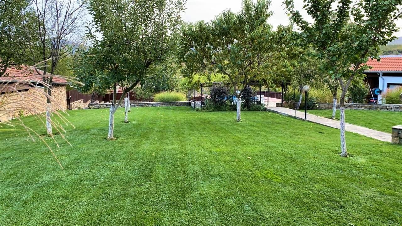 Снимки Галерия